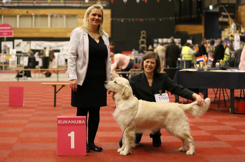 Jugend BOB, qualifiziert für die Crufts 2016